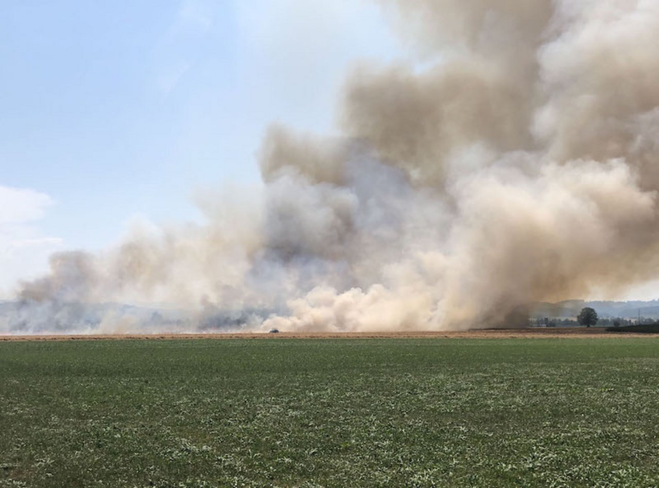 Rund 6 Hektaren des Kornfeldes sind laut ersten Ermittlungen vom Feuer zerstört worden.