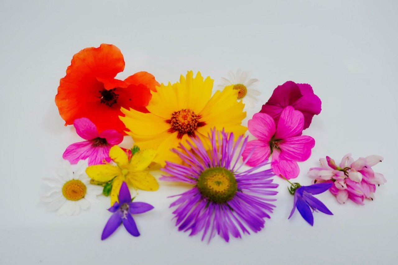 Aus Blütenblättern in möglichst vielen Farben und Formen kann man schönen Sommerschmuck basteln. (Bilder et/hja)