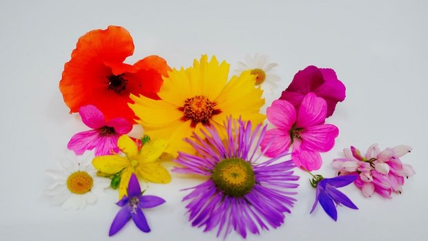 Aus Blütenblättern in möglichst vielen Farben und Formen kann man schönen Sommerschmuck basteln. (Bilder et/hja)