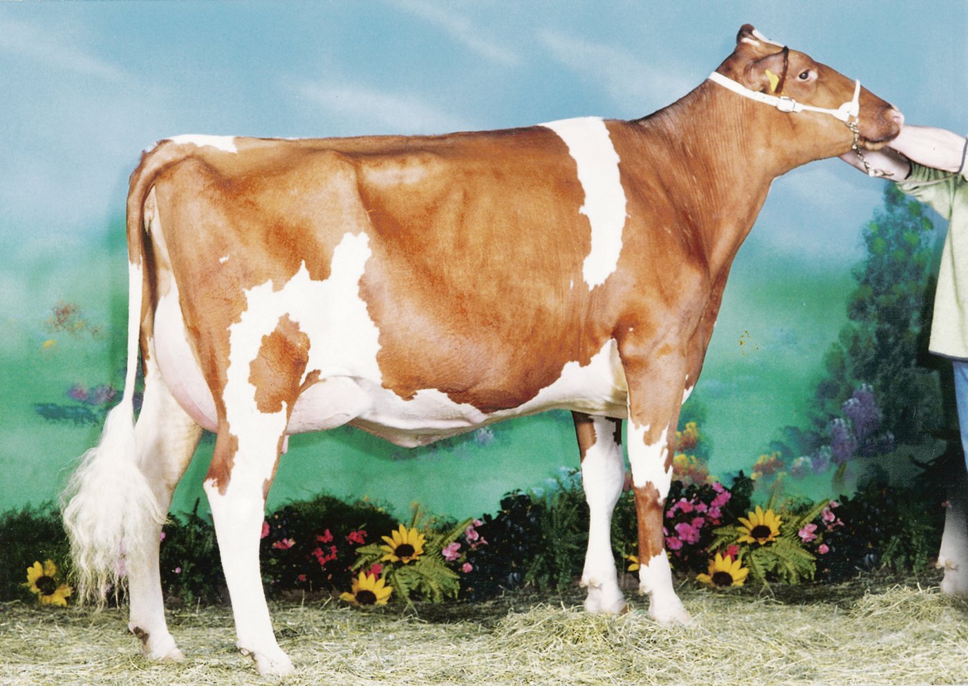 Rolin Caroline nahm an der Europameisterschaft teil.(Bild sg)