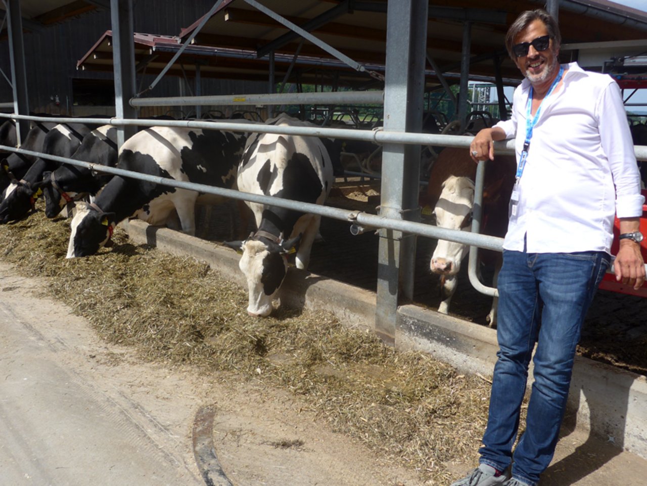 Wortstarker Gast: Schriftsteller Pedro Lenz posiert in Moosseedorf mit Kühen. (Bild akr)