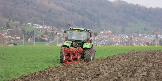 Deutsche Landwirte und Landwirtinnen wollen zusammenspannen: Das Bundesministerium lanciert eine Datenplattform zum Austausch und Überblick. (BauernZeitung)
