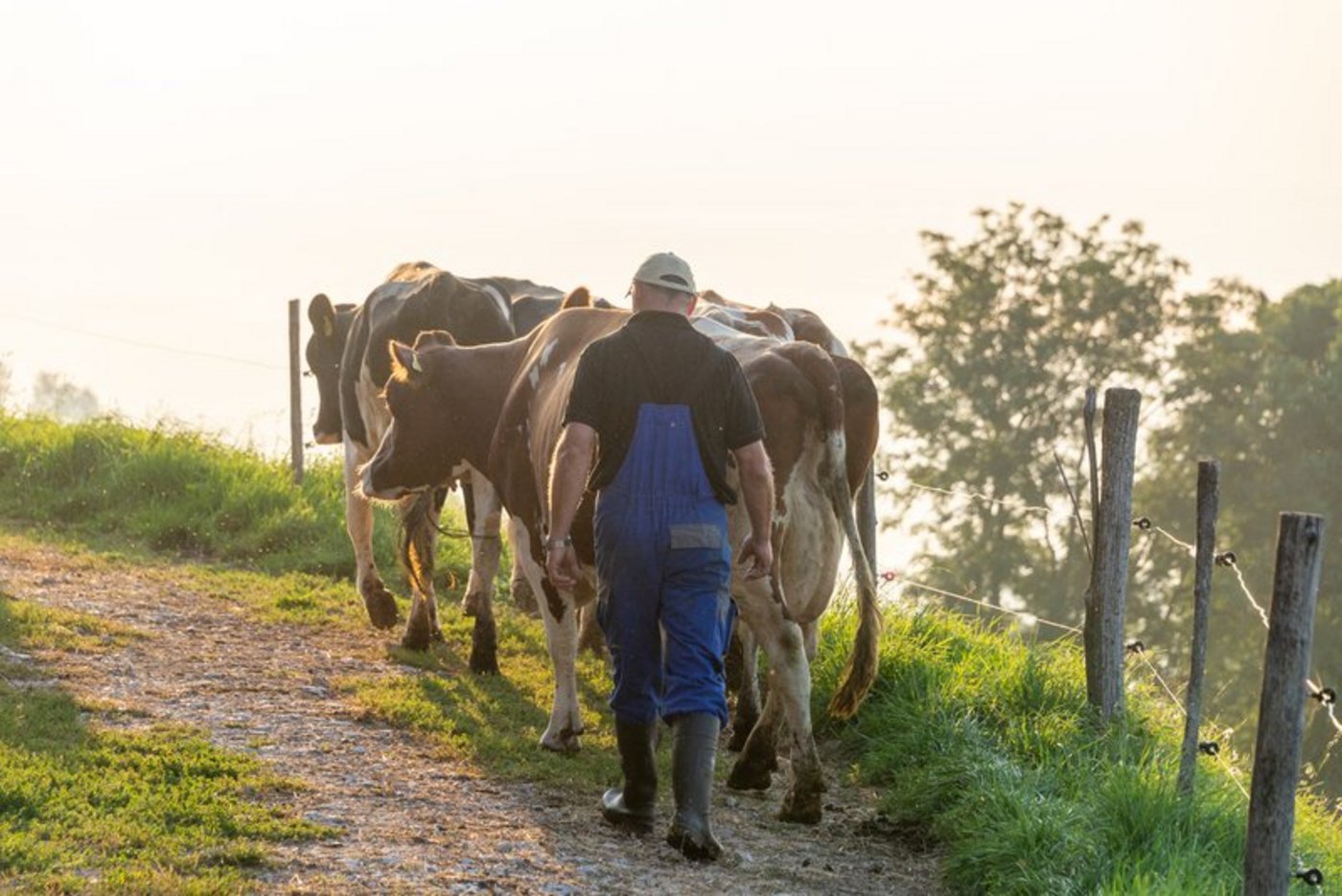 Wie es weitergeht, wird sich zeigen. Aktuell verändert sich die Situation laufend. (Bild hja)
