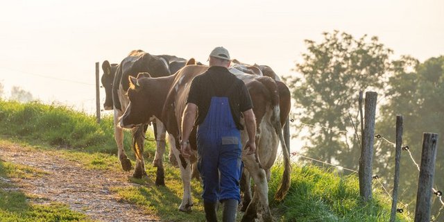 Wie es weitergeht, wird sich zeigen. Aktuell verändert sich die Situation laufend. (Bild hja)