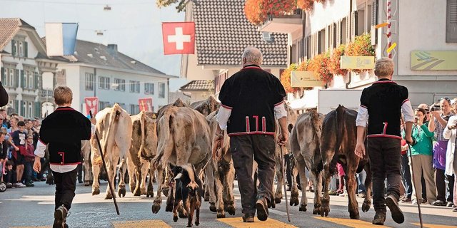 Familie, Berufskollegen, Vereine: Landwirten fehlt wegen der Arbeitsbelastung zunehmend die Zeit für soziale Kontakte. Einsamkeit ist aber kaum ein Thema.