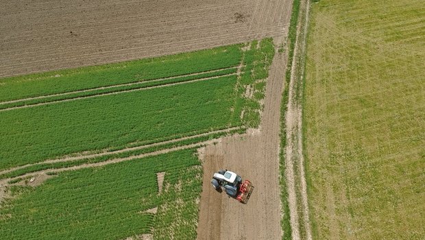Die Branche ist gefragt: Landwirtschaft habe viele Chancen, zum Klimaschutz beizutragen, findet Landwirtschaft Aargau. (Symbolbild Ruth Aerni)