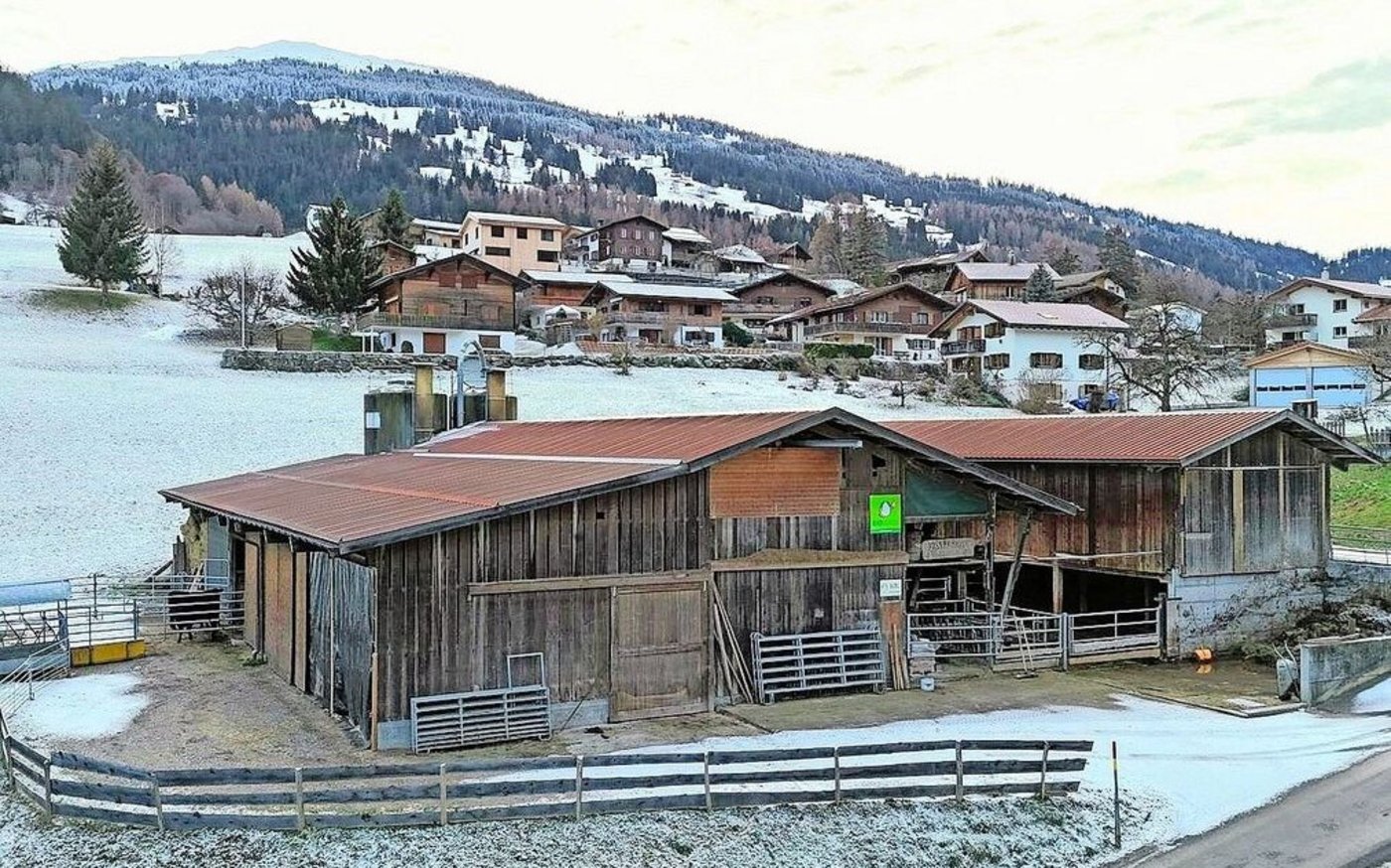 Arno Lietha möchte den Biohof seiner Eltern in Fideris in absehbarer Zeit übernehmen.