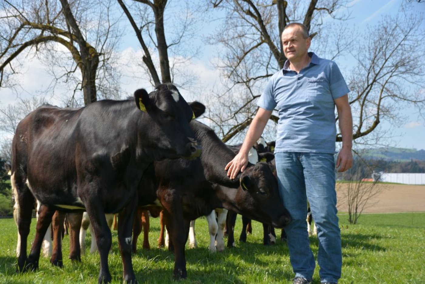 Neu im Vorstand ZMP: Der 52-jährige Meisterlandwirt Markus Bühlmann bei seinen Aufzuchttieren. (Bild Armin Emmenegger)