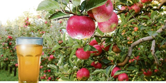Hinter einem erfrischenden Apfelsaft steckt eine komplexe Zusammenstellung aus süss und sauer.(Bild zVg)