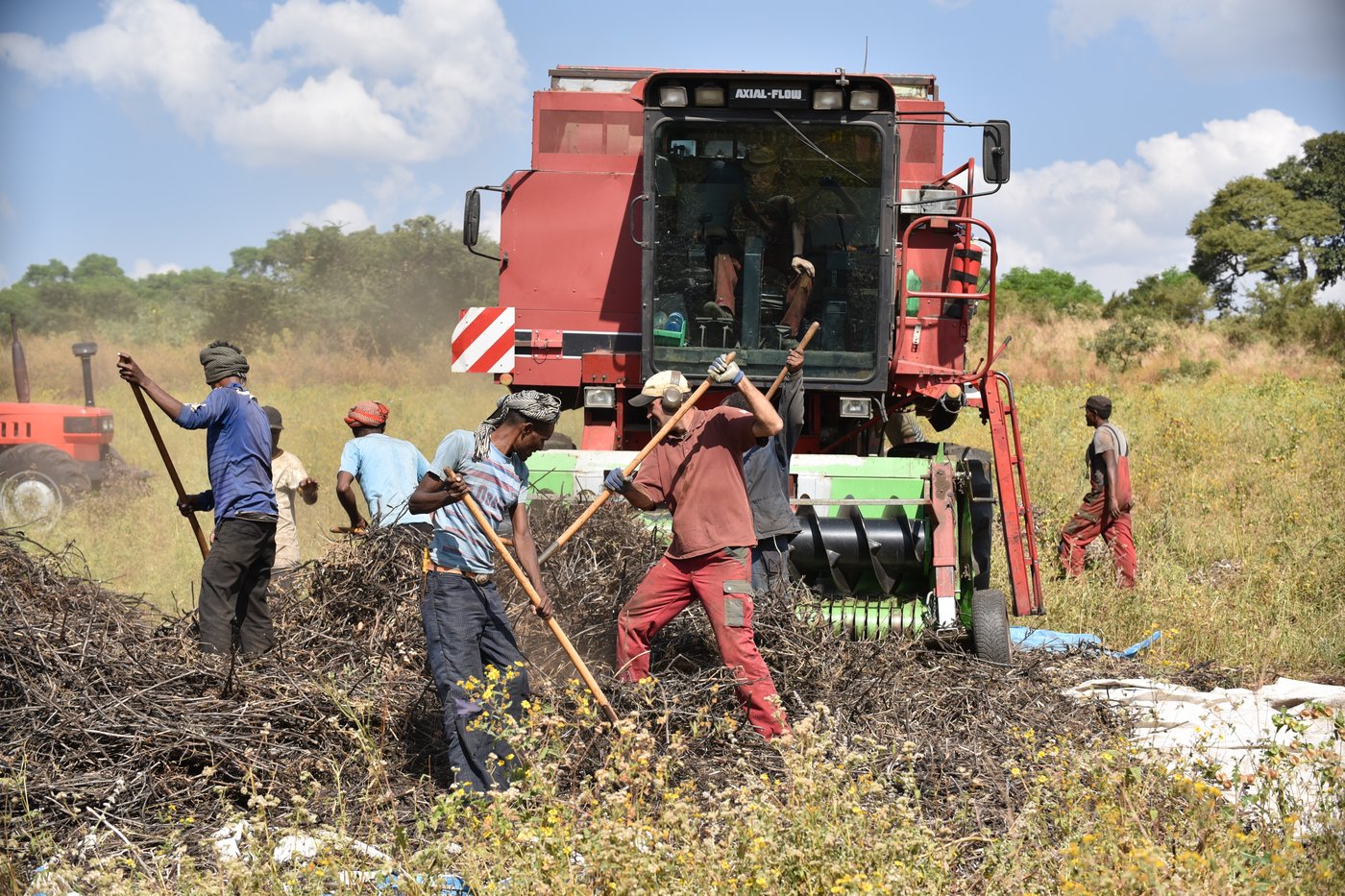Auch auf dem Feld packt er an. 