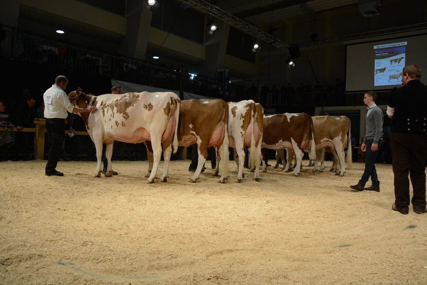 Eine Hammerklasse! Für die SF-Kühe der Abteilung 15  fordert Daniel Trachsel einen Applaus des Publikums.