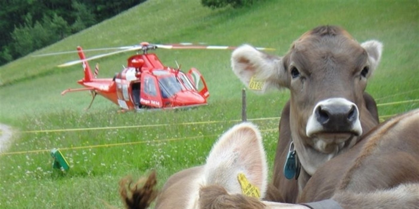 Die Rettungsflugwacht brachte den Verletzten ins Spital. (Symbolbild Rega)