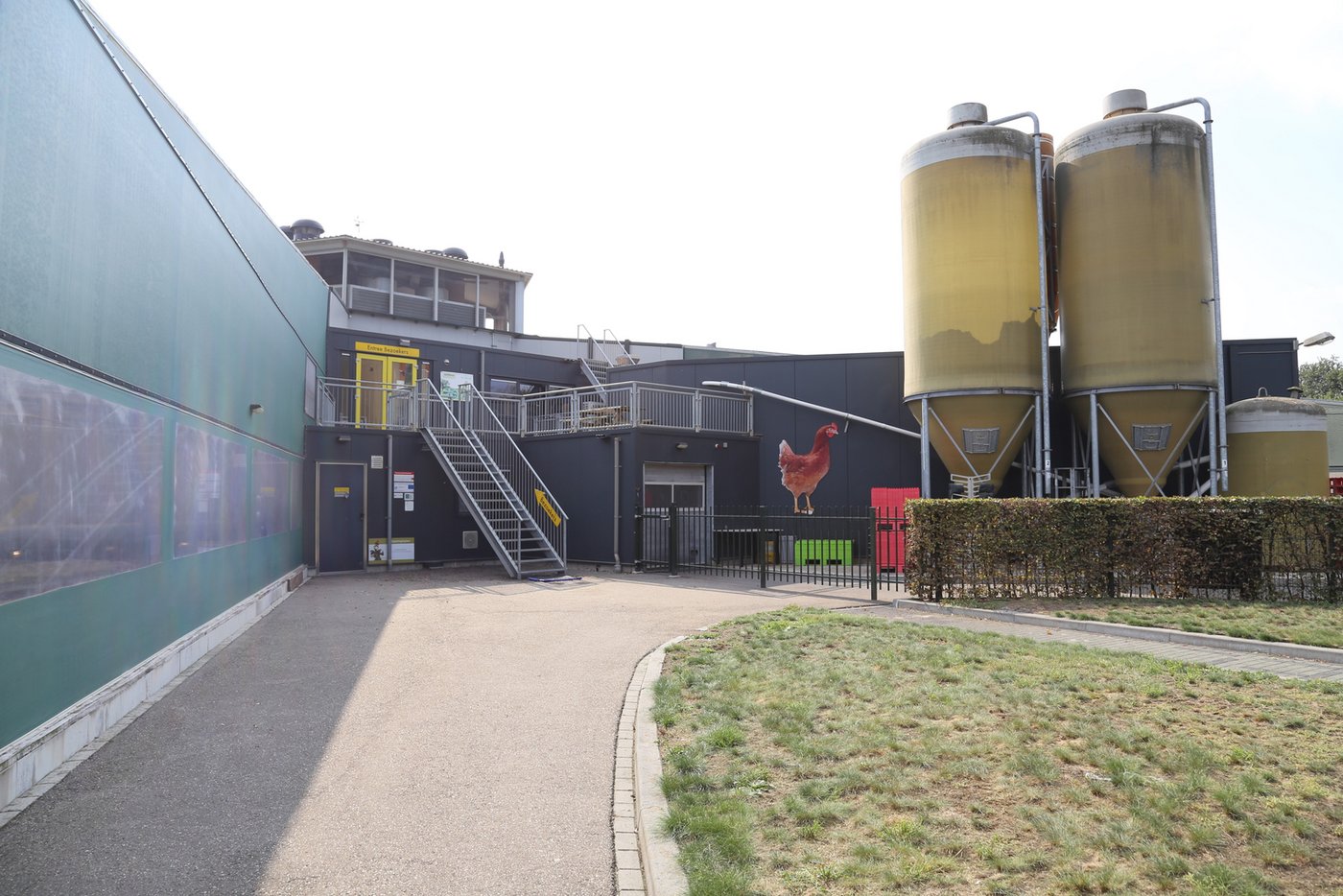 Besucher sind bei Rondeel eingeladen, sich ein Bild der Eierproduktion zu machen. In den Niederlanden gibt es 5 solche Ställe.