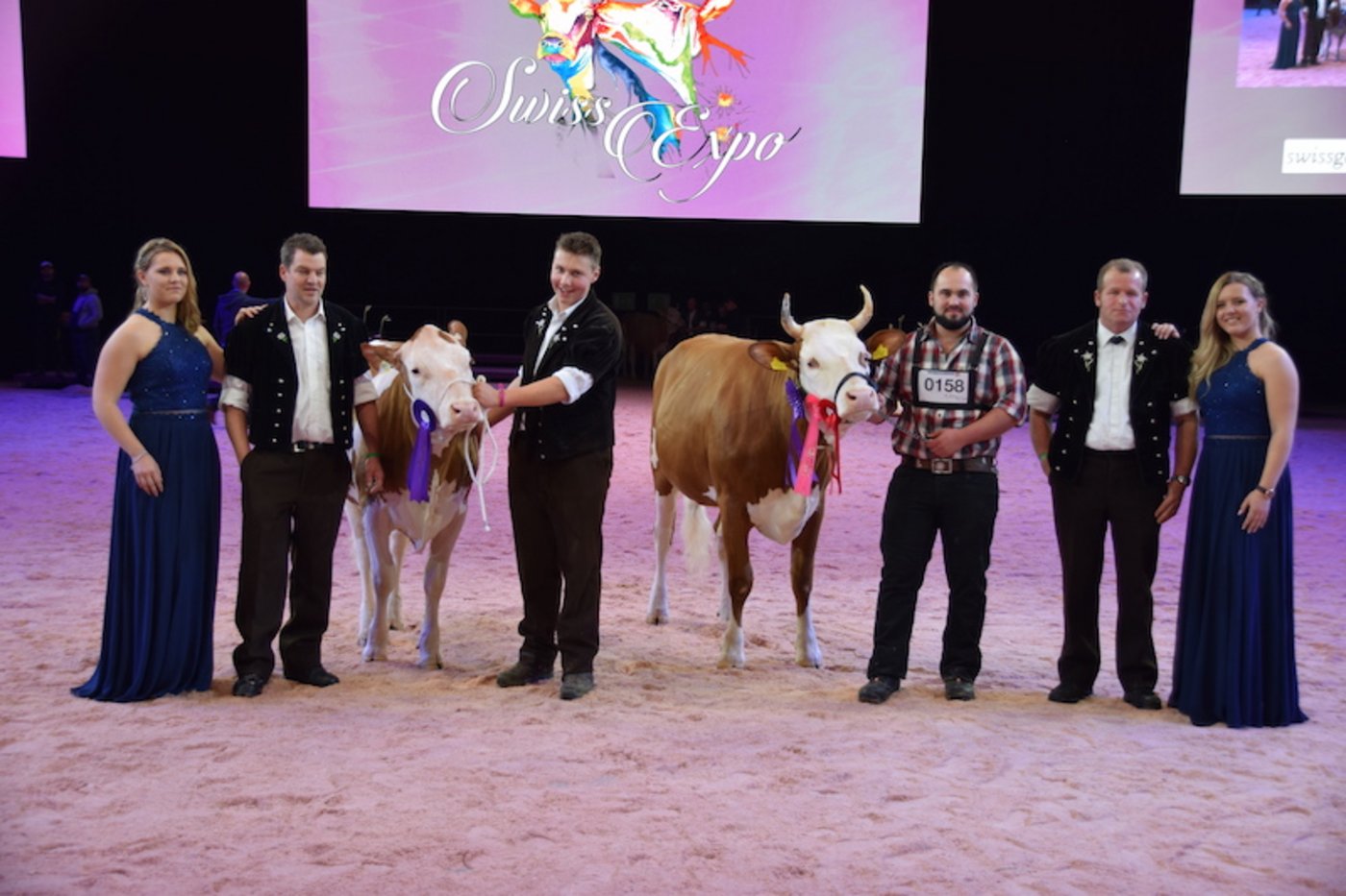 Roman Fleurine (rechts) von Michel Rey, Le Châtelard FR, wurde Champion beim Swiss Fleckvieh. Reserve wurde Sunside Hamilton P Blue Rose von Christian Stucki aus Uebeschi BE.