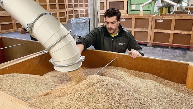 Die Frage wird in Zu Die Frage wird in Zukunft an Bedeutung gewinnen: Behandelt man das Saatgut noch chemisch-synthetisch, oder nutzt man Alternativen wie beispielsweise die Dampfbehandlung?