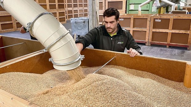 Die Frage wird in Zu Die Frage wird in Zukunft an Bedeutung gewinnen: Behandelt man das Saatgut noch chemisch-synthetisch, oder nutzt man Alternativen wie beispielsweise die Dampfbehandlung?