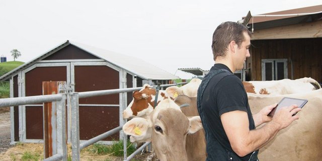 Jeder Landwirt mit einem Agate-Login kann die Herdemanagement-App SmartCow kostenlos nutzen. (Bild Swissgenetics)