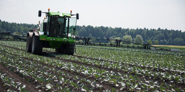 Eine Annahme der Initiative führe zu intensiverer Produktion und mehr Importen. (Bild hja)