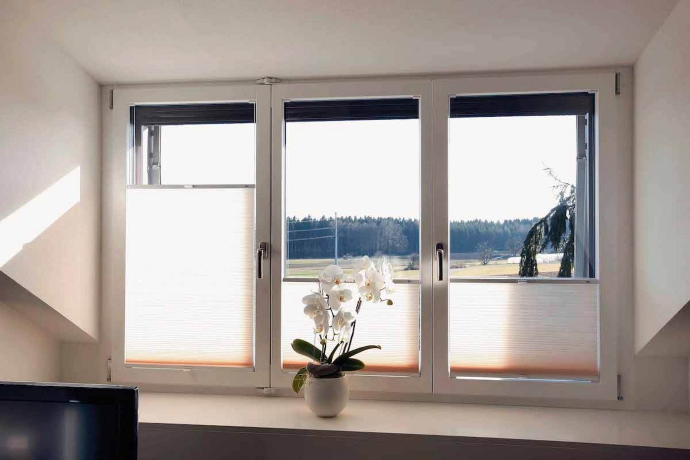 Pflegeleicht und blickdicht: Fensterplissees gibt es mit und ohne Muster und in verschiedenen Farben. (Foto: Die Welt in Farbe, Winterthur)