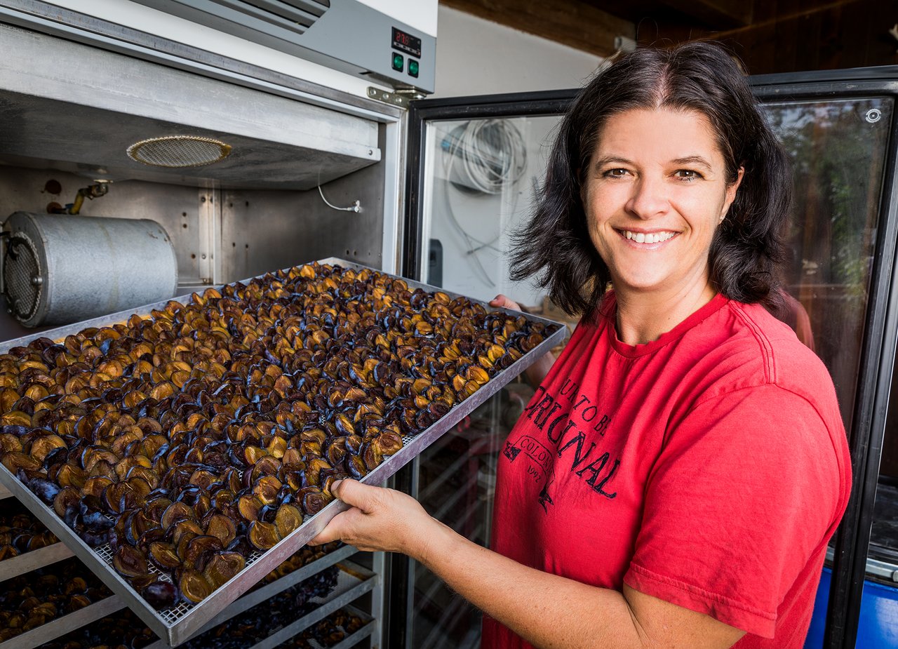 Wir von der BauernZeitung können uns vorstellen, dass Caroline Schweizer eigenen Wein oder etwas mit Zwetschgen auftischt. (Bilder SRF/Ueli Christoffel)