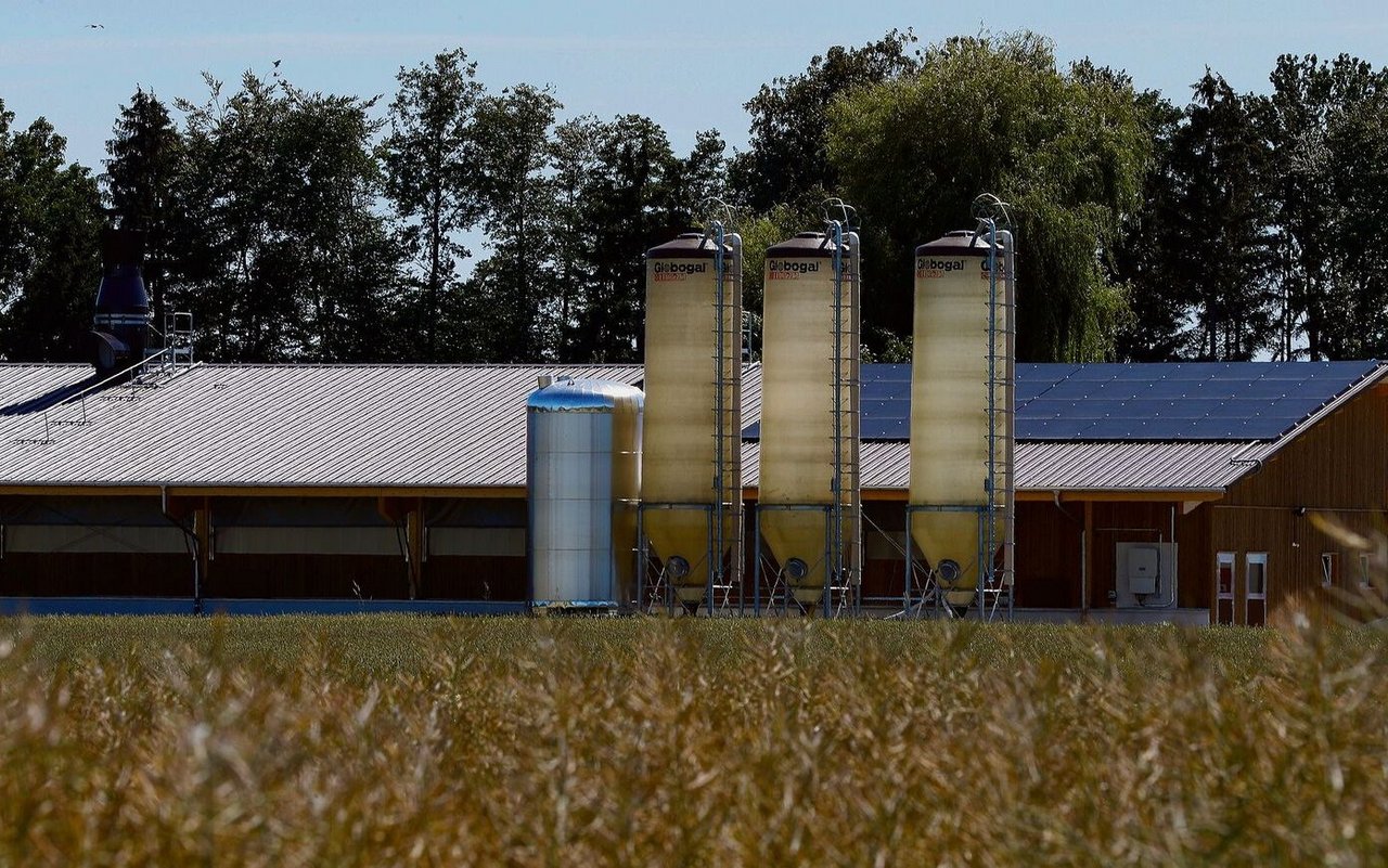 Wer eine Solaranlage auf seinen Stall bauen will, muss derzeit mit einer langen Wartefrist rechnen. 