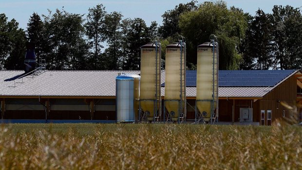 Wer eine Solaranlage Wer eine Solaranlage auf seinen Stall bauen will, muss derzeit mit einer langen Wartefrist rechnen.