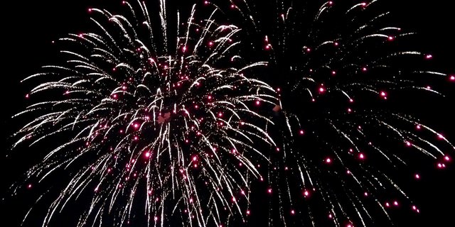Viele Städte und Gemeinden haben ihre Feuerwerke abgesagt. (Symbolbild Pixabay)
