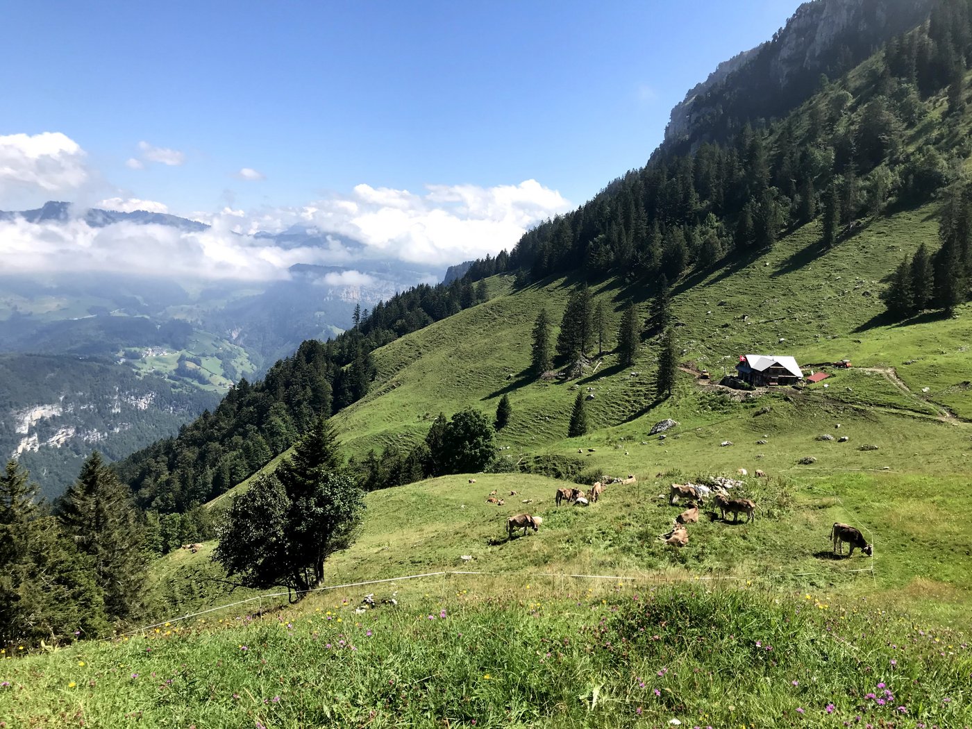 Zu sehen ist die Alphütte der Euw.