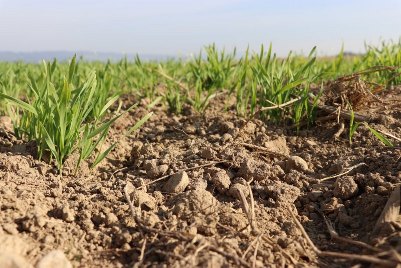 Der Boden ist eine Black Box – man kann aber mit einfachen Methoden etwas Licht ins Dunkel bringen und seinen Zustand beurteilen. (Bild BauZ)