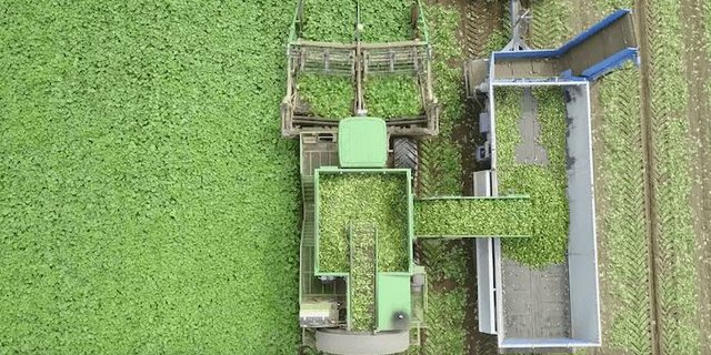 Der Gurken-Ernter: Eine von vielen verrückten Maschinen. (Bild Youtube Corey Perron)