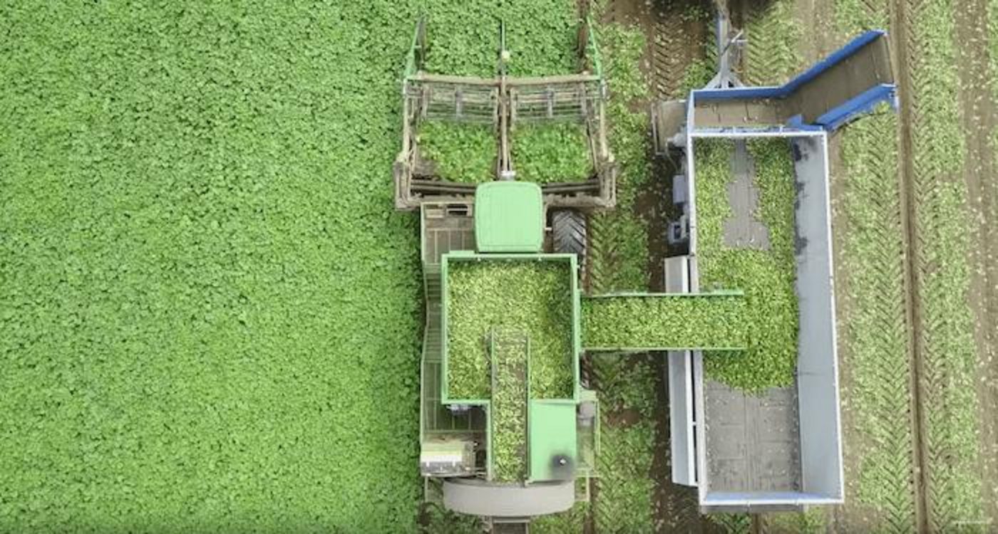 Der Gurken-Ernter: Eine von vielen verrückten Maschinen. (Bild Youtube Corey Perron)