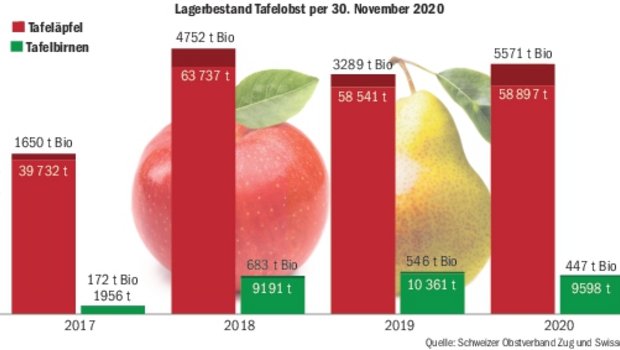 Die Lagerbestände bei den Tafeläpfeln und -birnen sind per 30.11.2020 marktkonform. Je nach Lagerhöhe sind die Richtpreise leicht gestiegen oder leicht gesunken.(Grafik BauZ)
