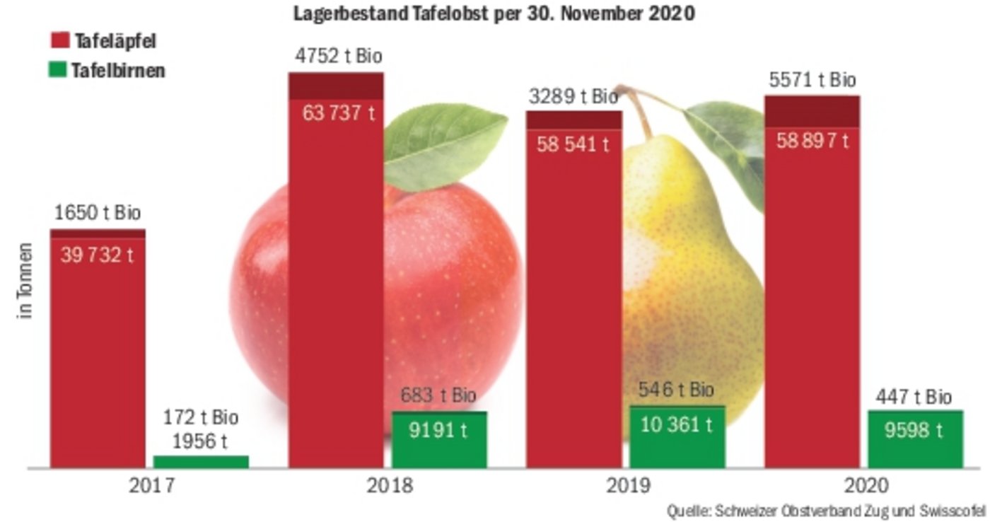 Die Lagerbestände bei den Tafeläpfeln und -birnen sind per 30.11.2020 marktkonform. Je nach Lagerhöhe sind die Richtpreise leicht gestiegen oder leicht gesunken.(Grafik BauZ)
