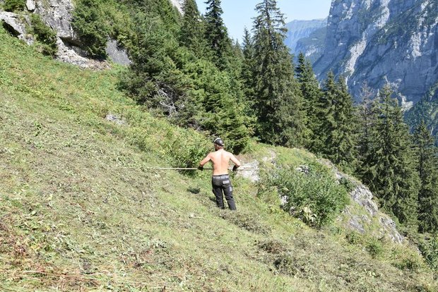 Die Arbeit auf einer Alp ist anspruchsvoll und anstrengend, belohnt aber mit unvergesslichen Erlebnissen. (Bild BauZ)