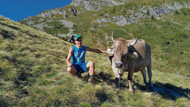 Junglandwirt Matteo Matteo Ambrosini und seine Lieblingskuh Gioa auf der Alpe Porcaresc im Valle Onsernone im Tessin.