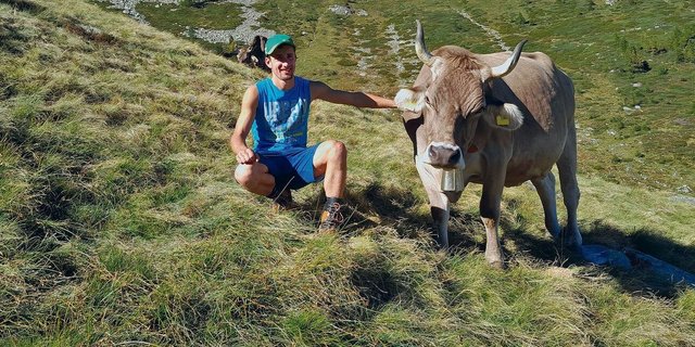 Matteo Ambrosini und seine Lieblingskuh Gioa auf der Alpe Porcaresc im Valle Onsernone im Tessin.