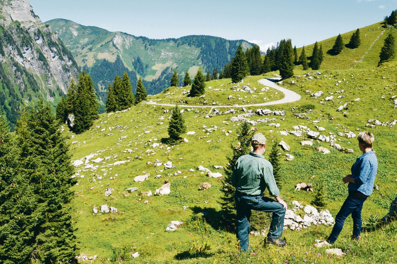 Siegfried und Myrtha Fischli blicken auf die Alp Änziunen-Rauti, die sie bewirtschaften.