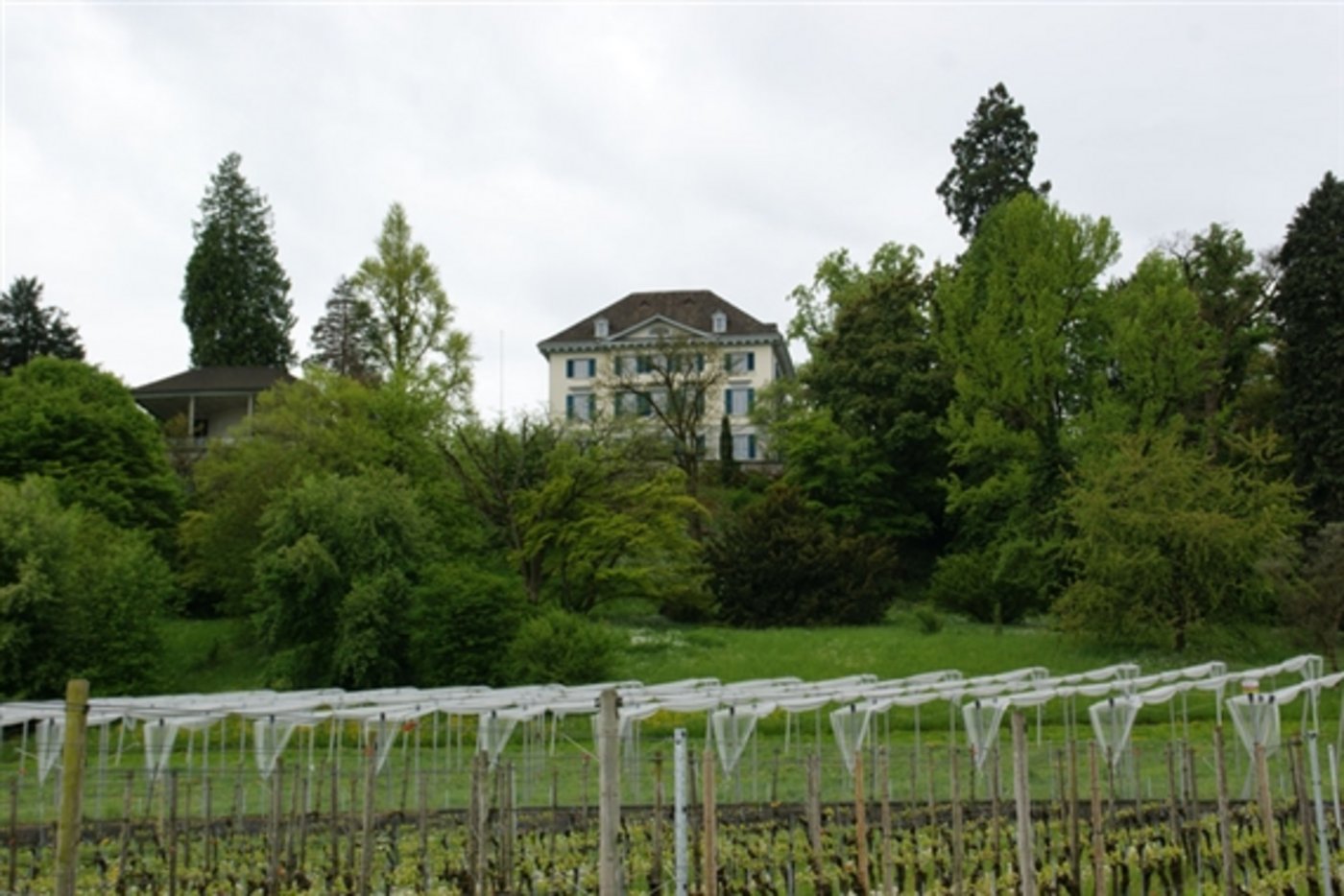 Die geplante Reorganisation von Agroscope (hier im Bild der Standort Wädenswil) sorgt für grosse Kritik. (Bild ji)