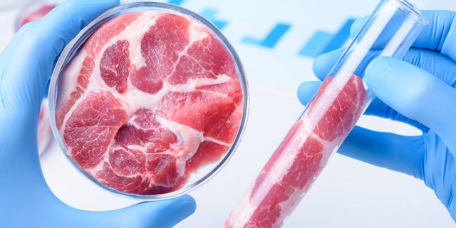 In Zukunft sollen in Labors in der Schweiz Rinderzellen zu fertigen Steaks gezüchtet werden. (Bild BauZ)