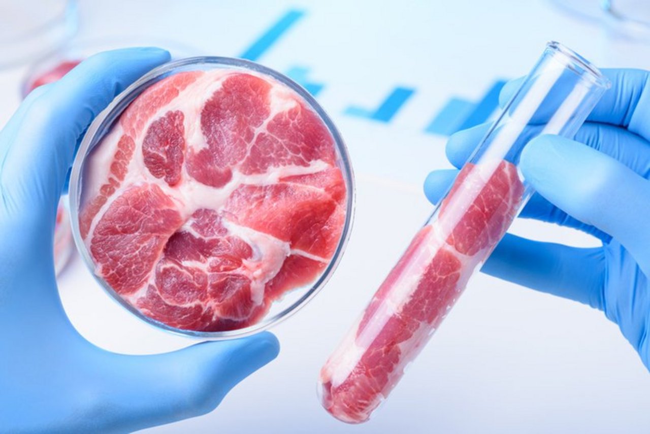 In Zukunft sollen in Labors in der Schweiz Rinderzellen zu fertigen Steaks gezüchtet werden. (Bild BauZ)