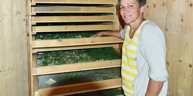 Edith Räss trocknet die Kräuter in einem Dörrkasten, den sie von einer Kollegin übernehmen konnte.