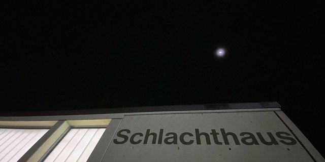 Für die meisten Landwirte endet die Tierhaltung beim Abladen im Schlachthaus – aber nicht für alle. Obwohl das Töten auf dem Hof eine Nische ist: Die Zahl der Gesuchstellenden steigt.