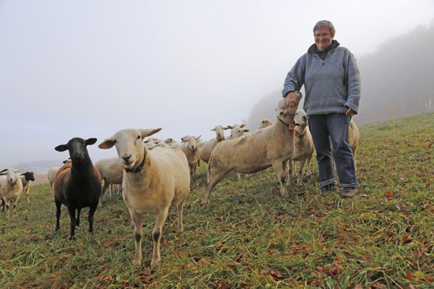 Schafhaltung muss wirtschaftlich sein: Katharina Bitterli. (Bild lid)