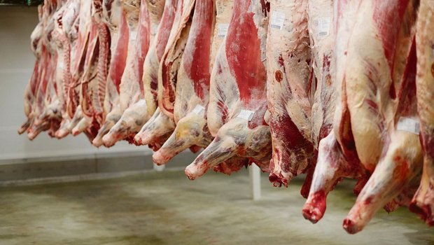 Der Kanton Bern hat Der Kanton Bern hat mit der Schliessung der Ernst Sutter AG im Emmental den letzten grossen Schlachthof verloren. Die Tiere werden fortan in umliegenden Kantonen getötet.