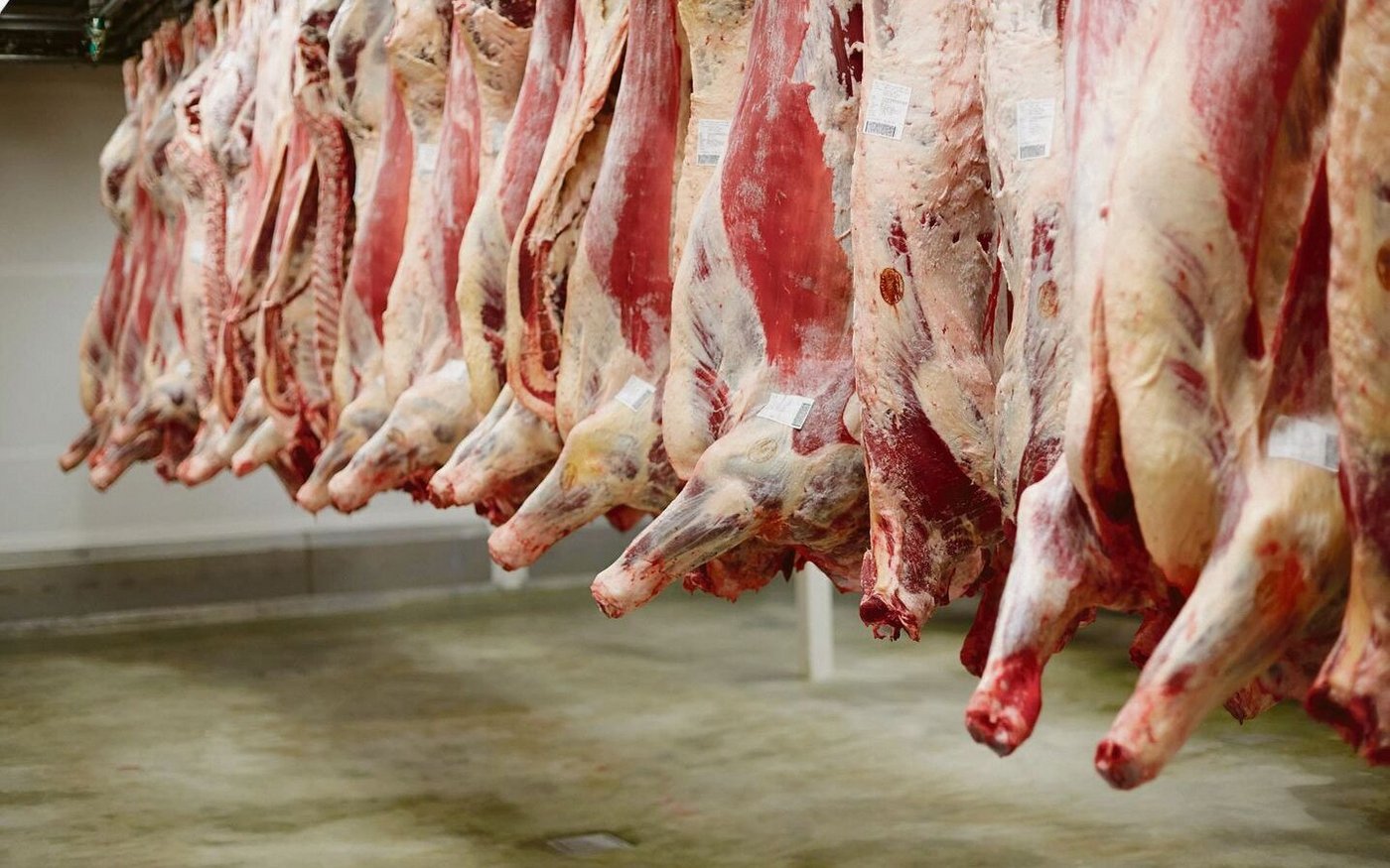 Der Kanton Bern hat mit der Schliessung der Ernst Sutter AG im Emmental den letzten grossen Schlachthof verloren. Die Tiere werden fortan in umliegenden Kantonen getötet.  