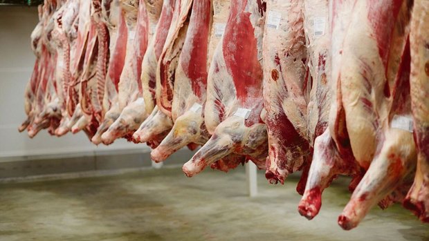 Der Kanton Bern hat Der Kanton Bern hat mit der Schliessung der Ernst Sutter AG im Emmental den letzten grossen Schlachthof verloren. Die Tiere werden fortan in umliegenden Kantonen getötet.