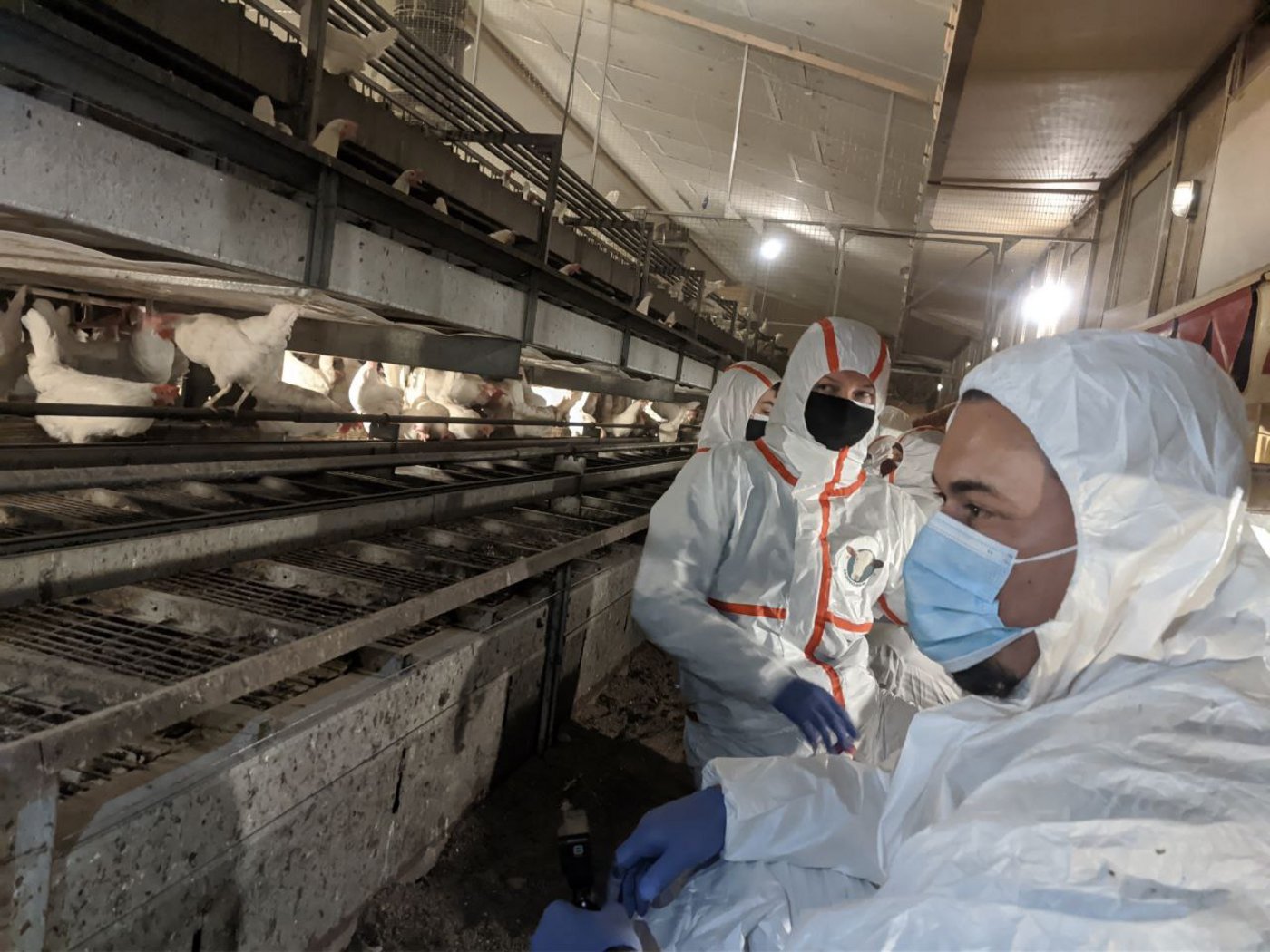 Die Aktivisten betonen, sie würden immer friedlich bleiben. (Bilder 1Individuum)