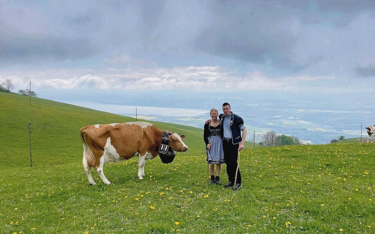 Seit ihrer Übernahme führen Taginis die Kühe zur Freude des Dorfes mit einem Alpaufzug auf die Sommerweide.