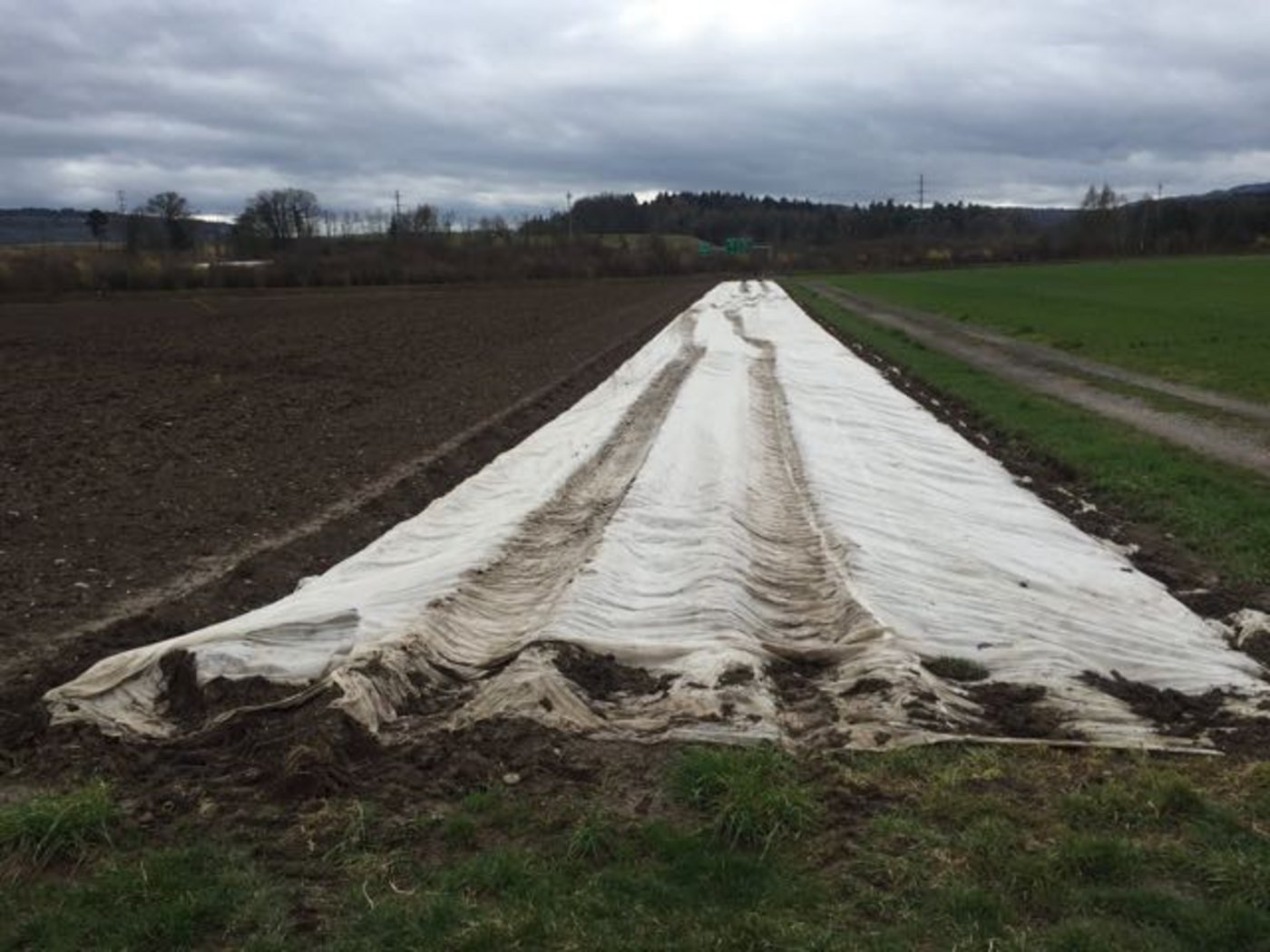 Auf diesem Feld richteten die Unbekannten mit dem Dumper Flurschaden an. Dazu kamen ... (Bilder Kapo ZH)