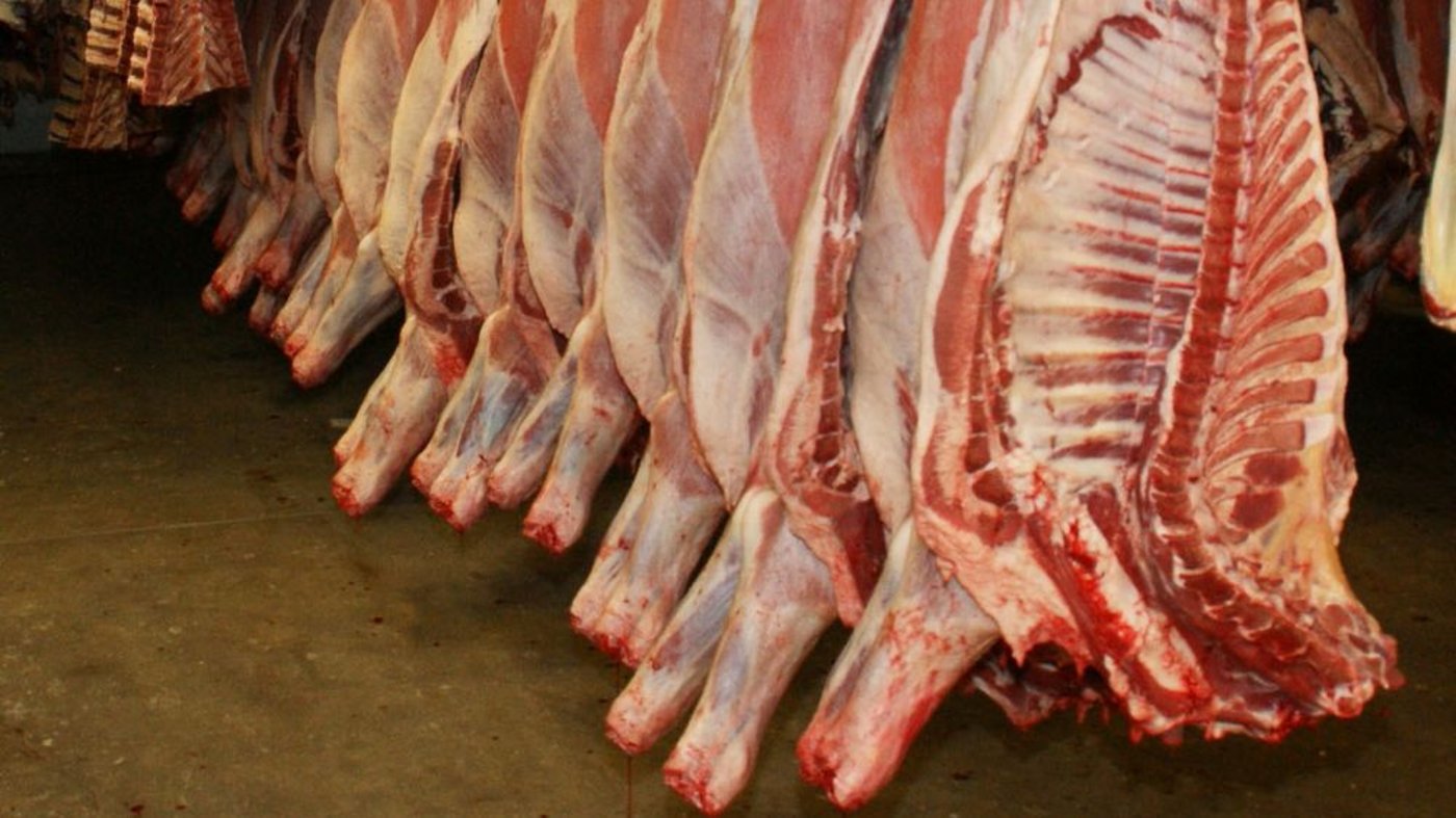 Im Jahr 2017 hatte die belgische Region Flandern das Schächten aus Gründen des Tierschutzes untersagt. (Bild ji)